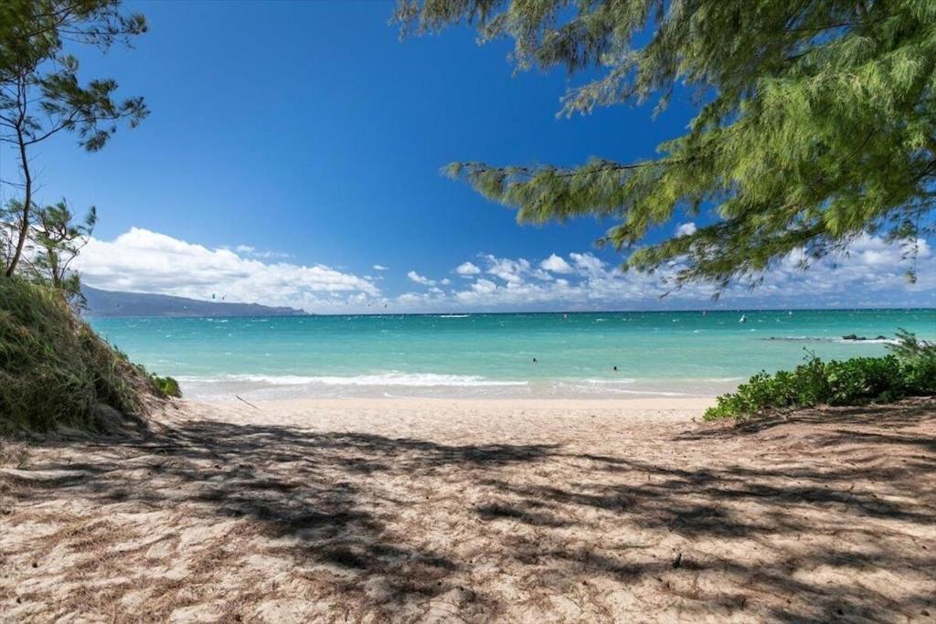 Unit 12 Maui Ohana Modern Studio Wailuku Экстерьер фото